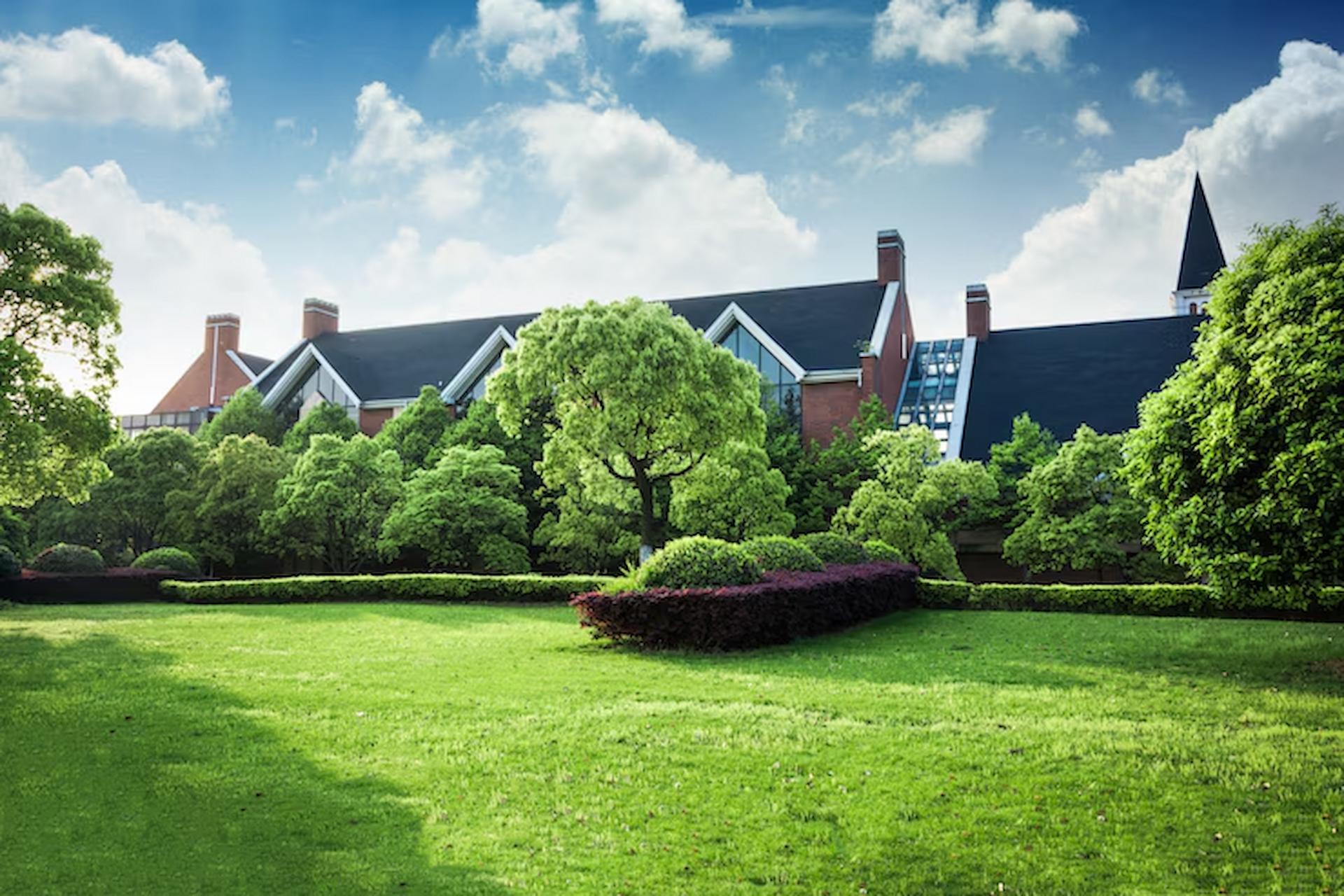 Landscaping Solutions